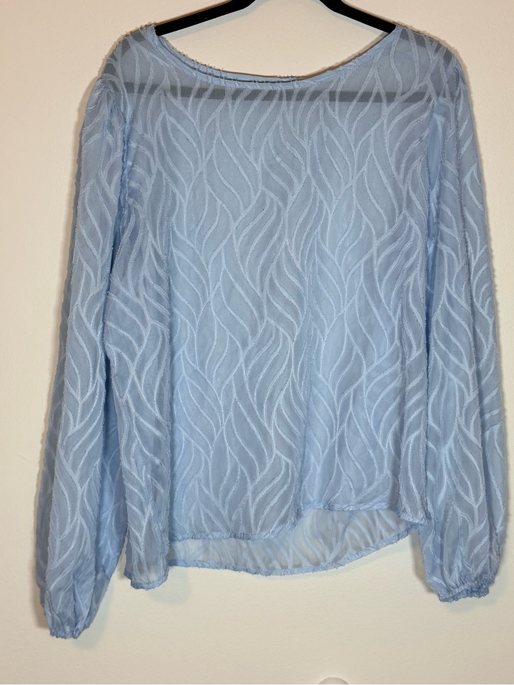Source Unknown Light Blue Sheer Textured Long-Sleeve Blouse